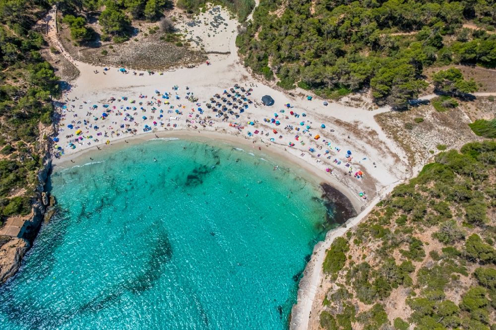 Luftaufnahme Cala Santanyi - Bucht entlang der Meeres- Küste Playa de Santanyí in Cala Santanyi in Balearische Insel Mallorca, Spanien