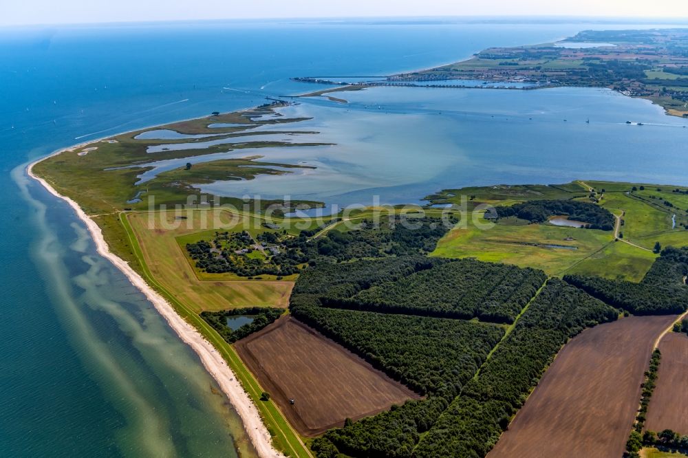 Luftbild Maasholm - Bucht entlang der Meeres- Küste Schlei - Ostsee in Maasholm im Bundesland Schleswig-Holstein, Deutschland