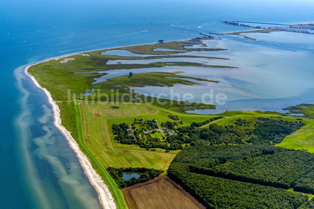 Luftaufnahme Maasholm - Bucht entlang der Meeres- Küste Schlei - Ostsee in Maasholm im Bundesland Schleswig-Holstein, Deutschland