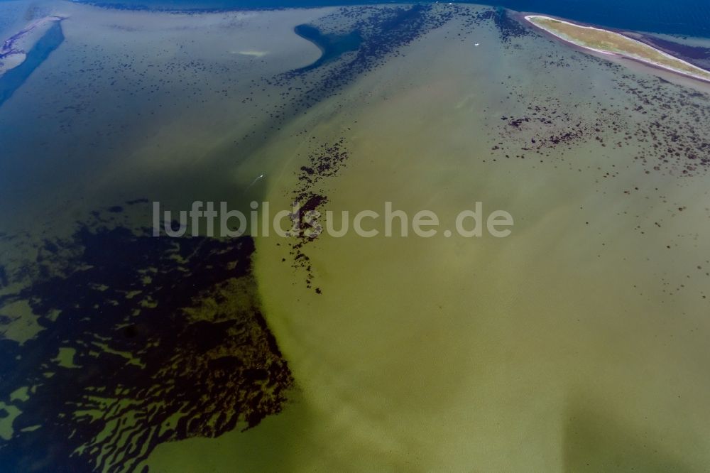 Kappeln aus der Vogelperspektive: Bucht Schlei entlang der Meeres- Küste der Ostsee in Kappeln im Bundesland Schleswig-Holstein, Deutschland