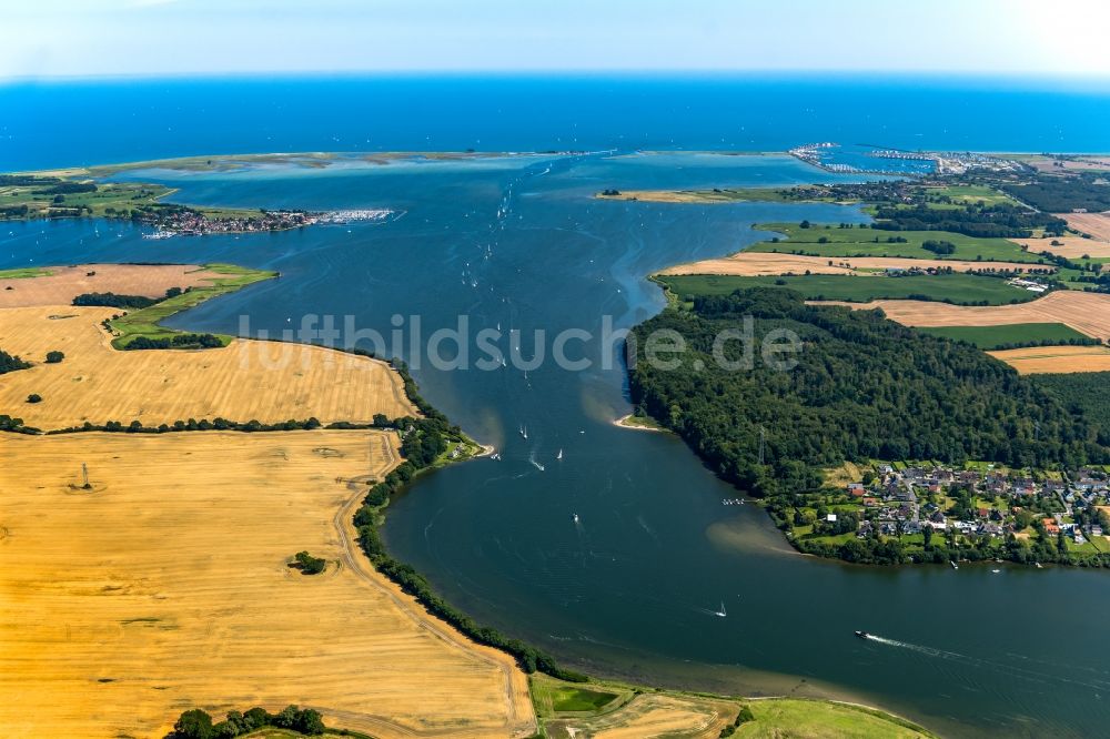 Luftbild Maasholm - Bucht Schlei mit Segelschiffen in Fahrt entlang der Meeres- Küste der Ostsee in Maasholm im Bundesland Schleswig-Holstein, Deutschland
