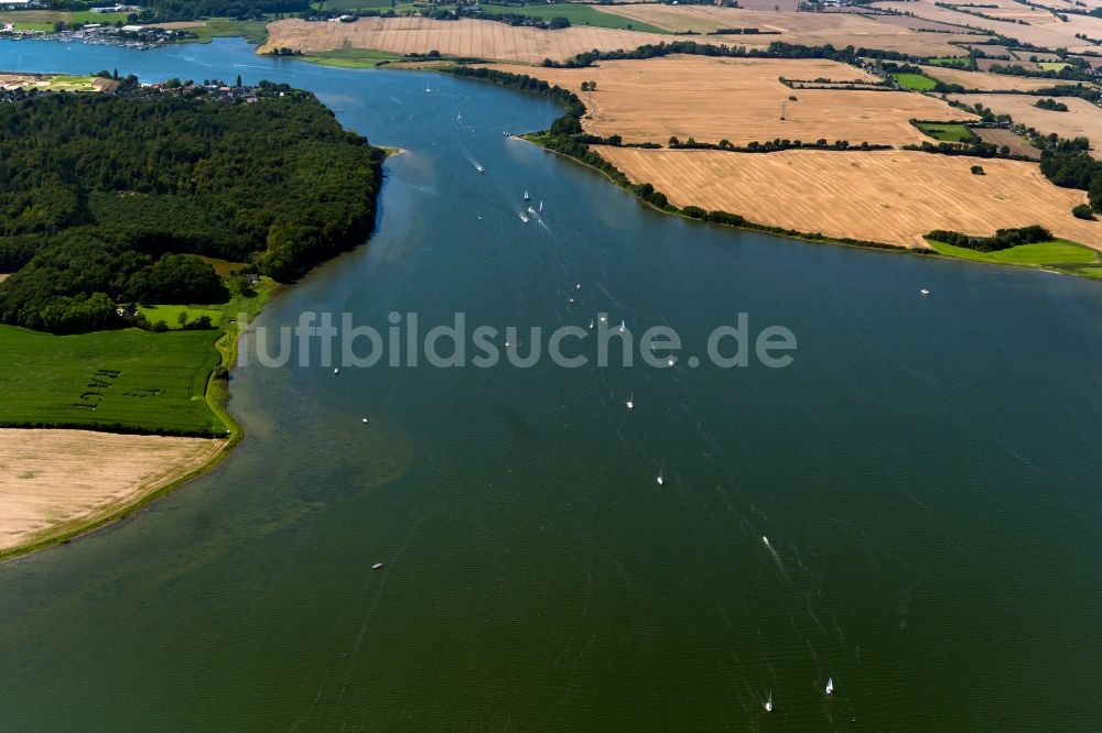 Luftbild Maasholm - Bucht Schlei mit Segelschiffen in Fahrt entlang der Meeres- Küste der Ostsee in Maasholm im Bundesland Schleswig-Holstein, Deutschland