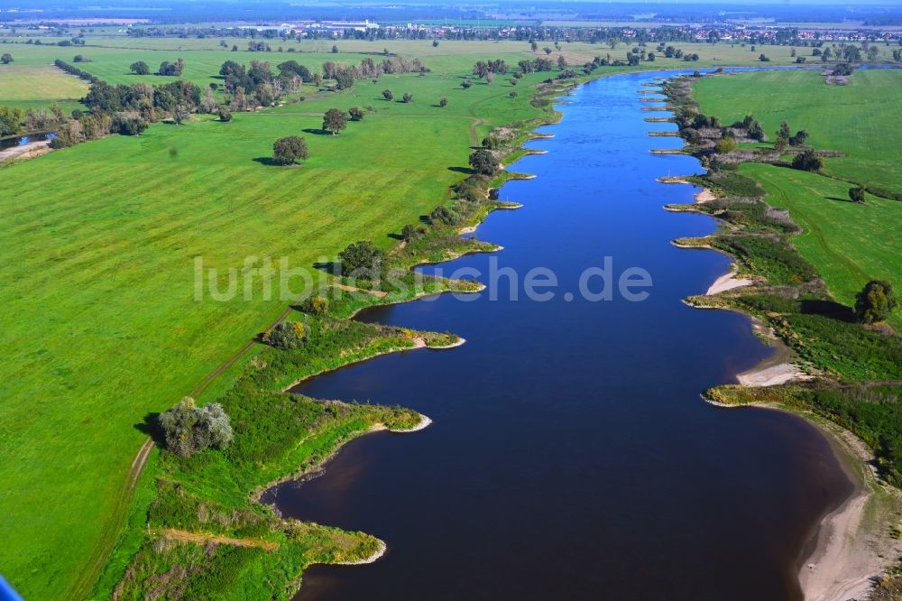 Schützberg von oben - Buhnen- Landschaft des Elbe - Flussverlauf in Schützberg im Bundesland Sachsen-Anhalt, Deutschland