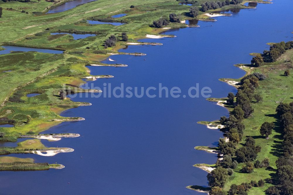 Langendorf von oben - Buhnen- Landschaft - Flussverlauf in Langendorf im Bundesland Niedersachsen, Deutschland