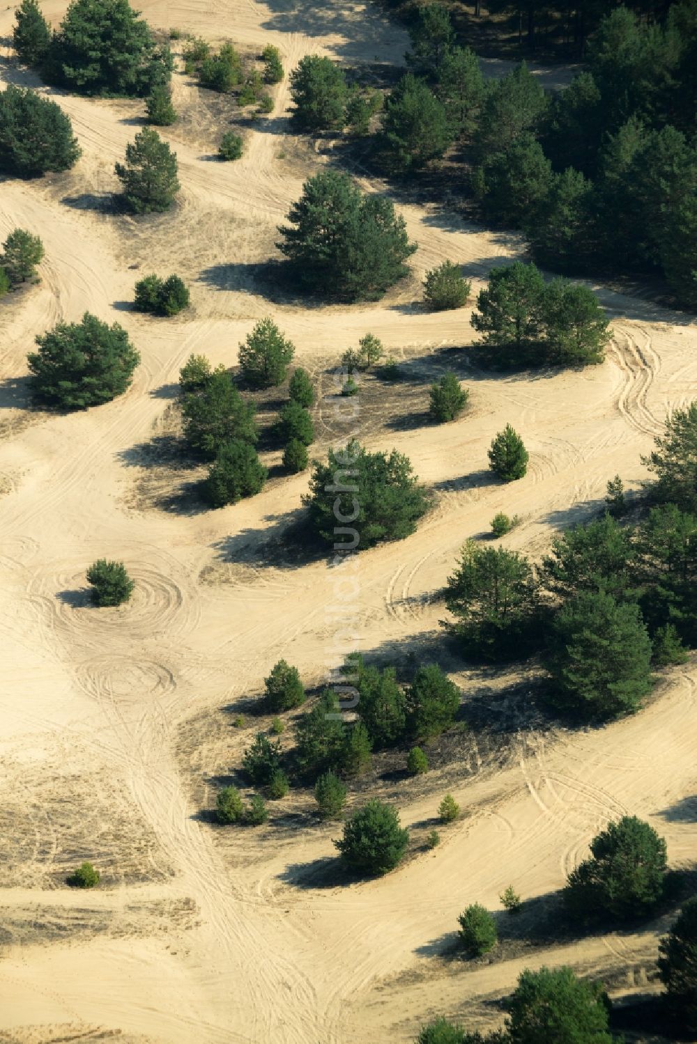 Luftaufnahme Spreenhagen - Bäume auf einer mit Sand bedeckten Lichtung im Süden der Gemeinde Spreenhagen im Bundesland Brandenburg