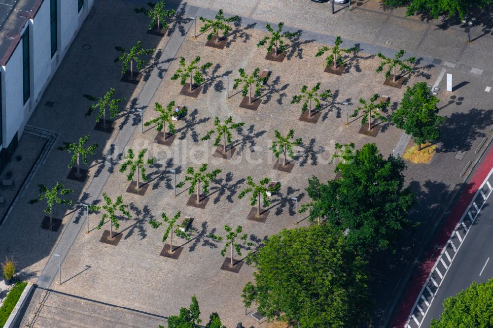 Luftbild Hannover - Bäume mit Schattenbildung durch Lichteinstrahlung auf dem Patz vor dem Landtag Niedersachsen in Hannover im Bundesland Niedersachsen, Deutschland