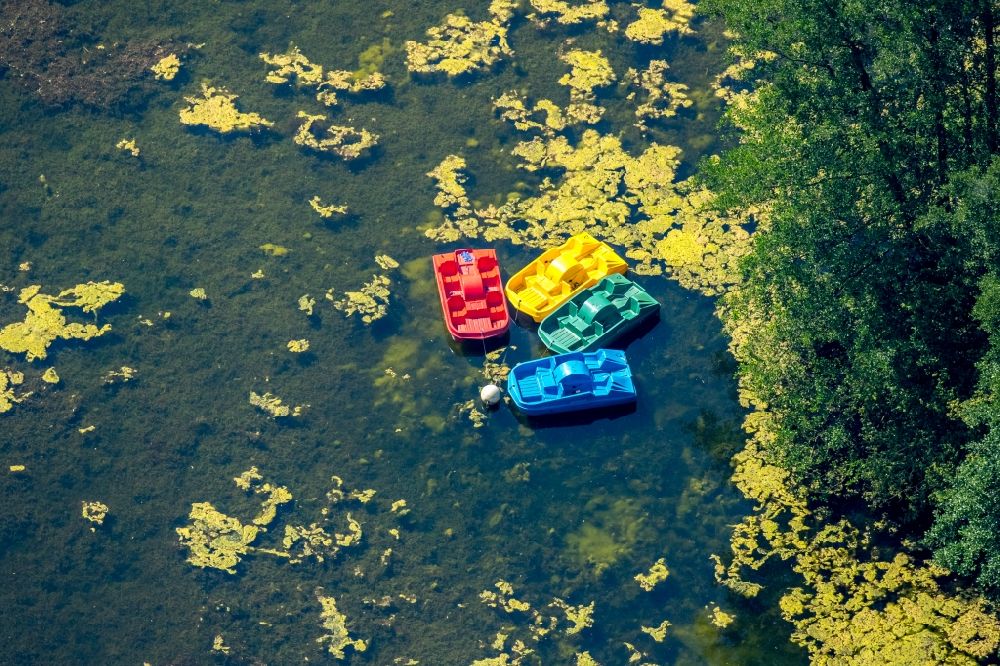 Gladbeck aus der Vogelperspektive: Bunte Plastik- Tretboote auf dem Schloßteich Wittringen in Gladbeck im Bundesland Nordrhein-Westfalen