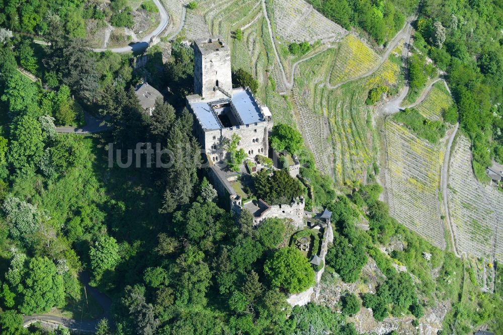 Kaub aus der Vogelperspektive: Burg Burg Gutenfels am Schlossweg in Kaub im Bundesland Rheinland-Pfalz, Deutschland