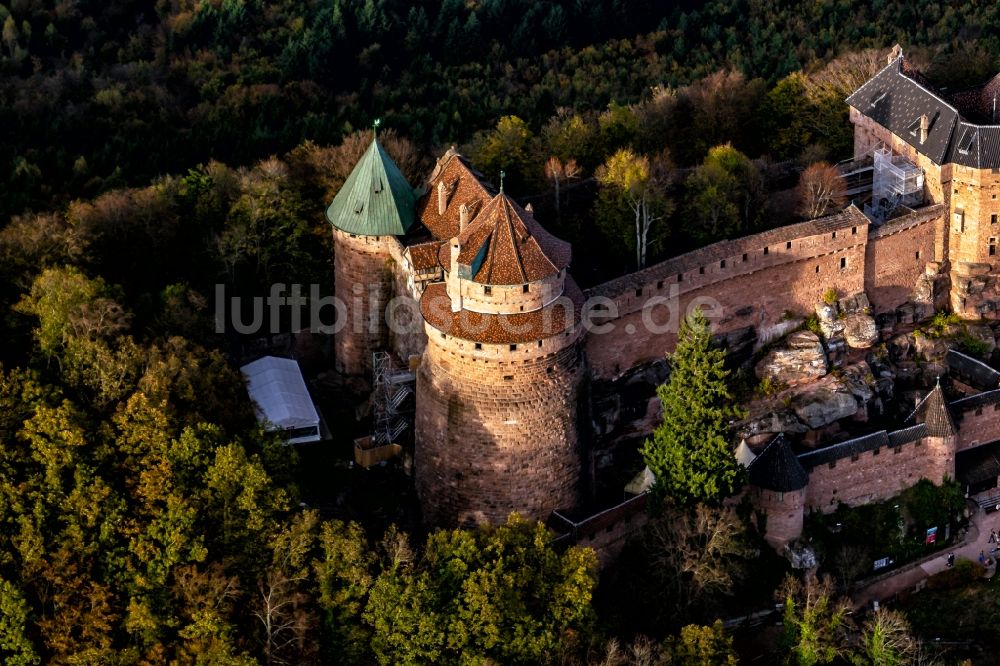 Luftbild Orschwiller - Burg Hohkönigsburg im Elsass 1901-1908 von Kaiser Wilhelm der 2. wieder aufgebaut in Orschwiller in Grand Est, Frankreich