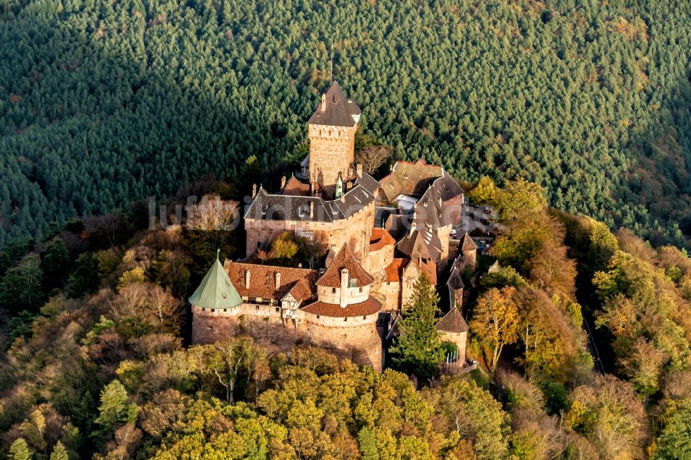 Luftaufnahme Orschwiller - Burg Hohkönigsburg im Elsass 1901-1908 von Kaiser Wilhelm der 2. wieder aufgebaut in Orschwiller in Grand Est, Frankreich