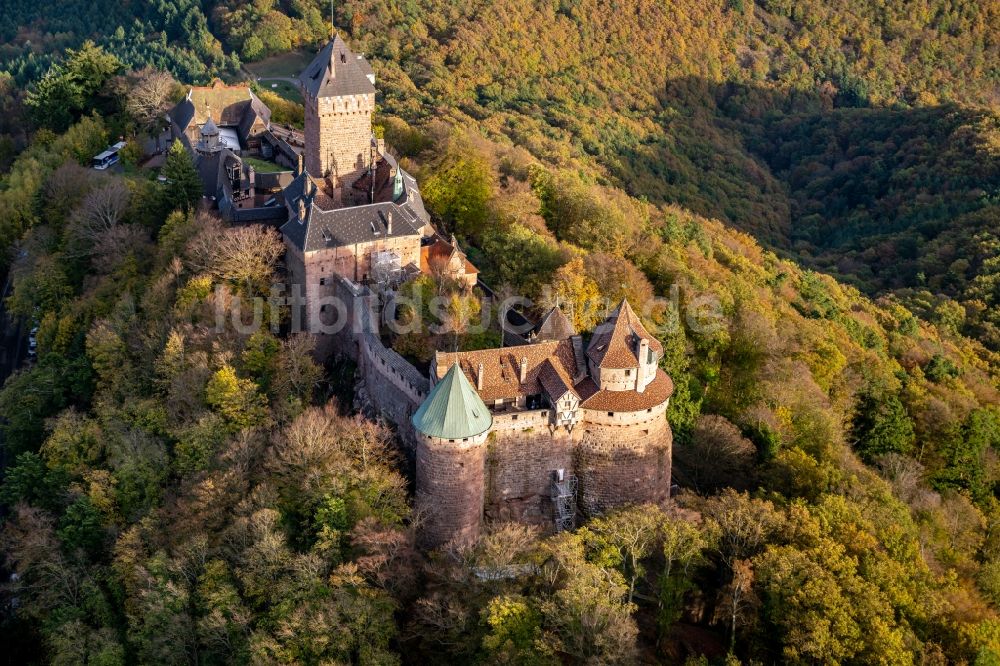 Luftbild Orschwiller - Burg Hohkönigsburg im Elsass 1901-1908 von Kaiser Wilhelm der 2. wieder aufgebaut in Orschwiller in Grand Est, Frankreich
