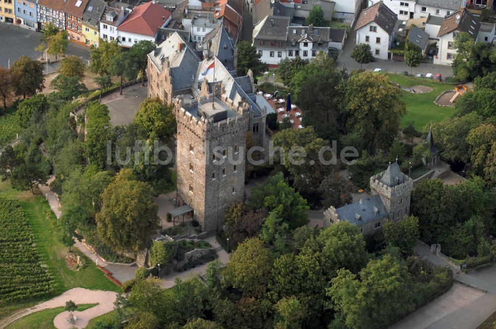 Luftbild Bingen am Rhein - Burg Klopp in Bingen am Rhein, Rheinland - Pfalz