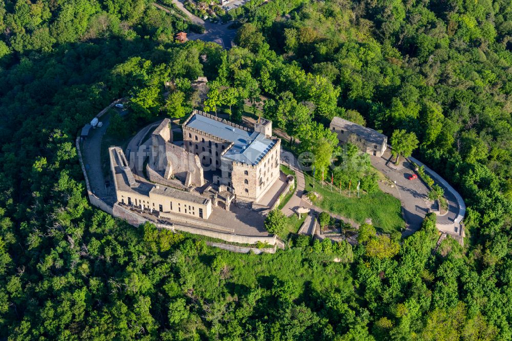 Luftaufnahme Neustadt an der Weinstraße - Burganlage des Hambacher Schloss in Neustadt an der Weinstraße im Bundesland Rheinland-Pfalz, Deutschland