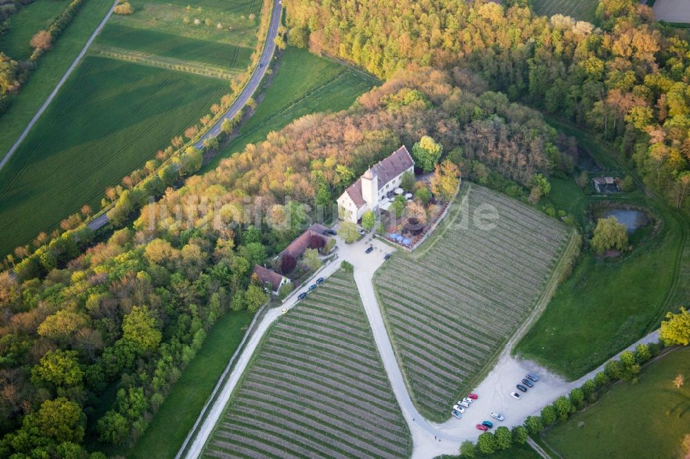 Volkach aus der Vogelperspektive: Burganlage des Schloss Hallburg Vinothek mit Weinbergen in Volkach im Bundesland Bayern, Deutschland