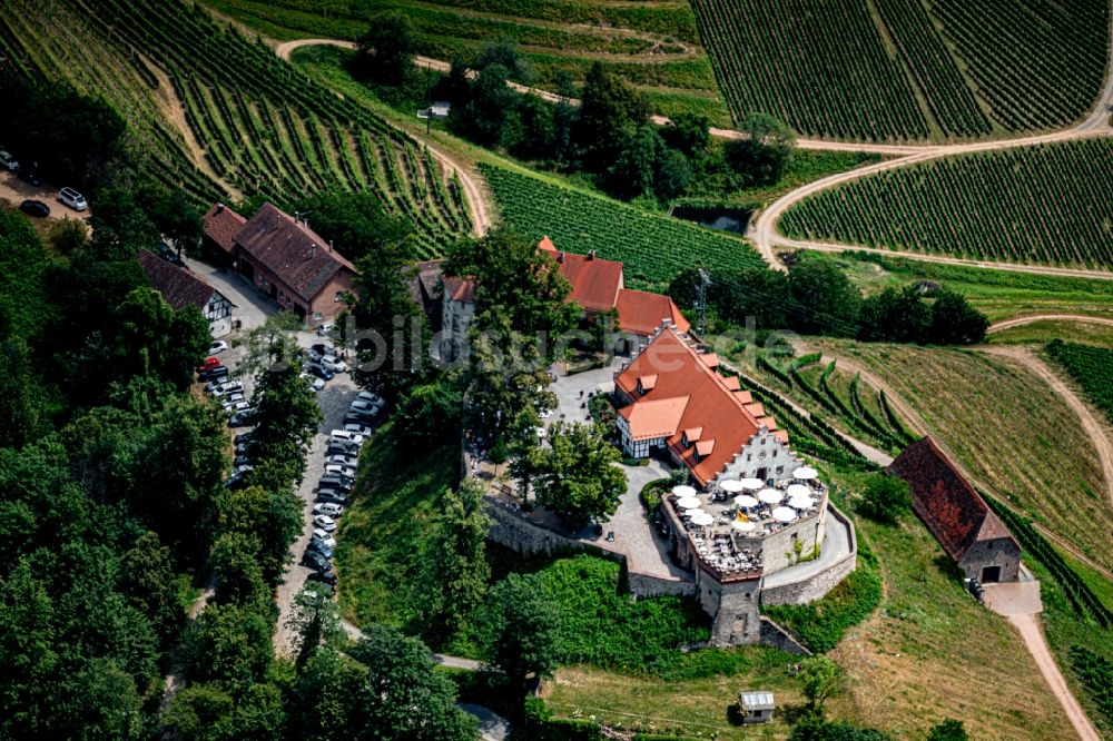 Durbach aus der Vogelperspektive: Burganlage des Schloss Staufenberg in Durbach im Bundesland Baden-Württemberg, Deutschland