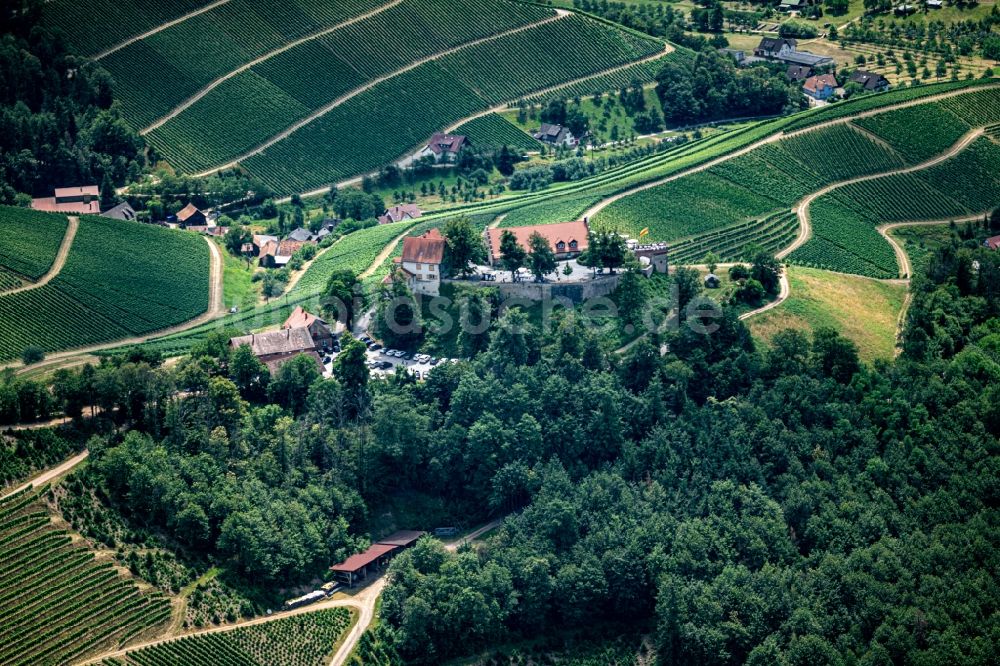 Durbach von oben - Burganlage des Schloss Staufenberg in Durbach im Bundesland Baden-Württemberg, Deutschland