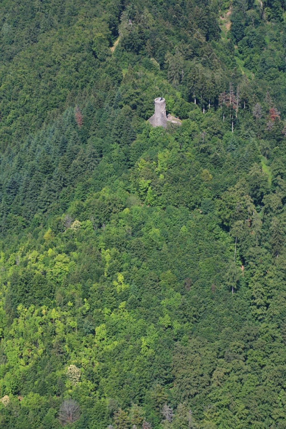Wehr aus der Vogelperspektive: Burgruine Bärenfels oberhalb von Wehr im Bundesland Baden-Württemberg