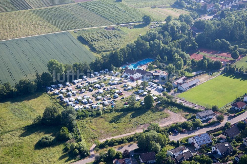 Billigheim-Ingenheim aus der Vogelperspektive: Campingplatz mit Wohnwagen und Zelten im Ortsteil Ingenheim in Billigheim-Ingenheim im Bundesland Rheinland-Pfalz