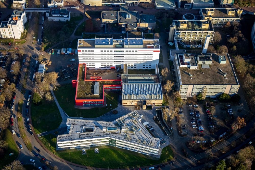Düsseldorf von oben - Campus- Universitäts- Bereich Exzellenzcluster CEPLAS in Düsseldorf im Bundesland Nordrhein-Westfalen, Deutschland