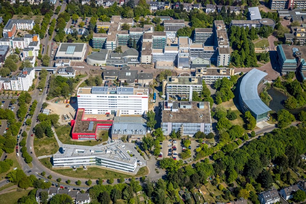 Düsseldorf aus der Vogelperspektive: Campus- Universitäts- Bereich Exzellenzcluster CEPLAS in Düsseldorf im Bundesland Nordrhein-Westfalen, Deutschland