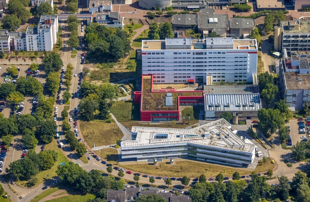 Luftbild Düsseldorf - Campus- Universitäts- Bereich Exzellenzcluster CEPLAS in Düsseldorf im Bundesland Nordrhein-Westfalen, Deutschland
