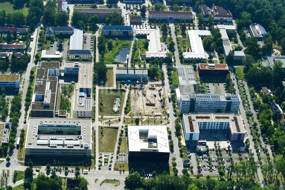 Luftbild Potsdam - Campus- Universitäts- Bereich mit Neubau- Baustelle auf dem Gelände der Universität Potsdam im Ortsteil Golm in Potsdam im Bundesland Brandenburg, Deutschland