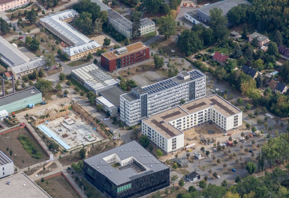 Potsdam von oben - Campus- Universitäts- Bereich mit Neubau- Baustelle auf dem Gelände der Universität Potsdam im Ortsteil Golm in Potsdam im Bundesland Brandenburg, Deutschland