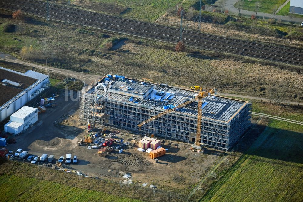 Luftaufnahme Potsdam - Campus- Universitäts- Bereich mit Neubau- Baustelle der Universität Potsdam im Ortsteil Golm in Potsdam im Bundesland Brandenburg, Deutschland