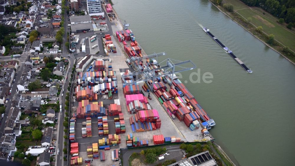 Luftaufnahme Bonn - Containerterminal im Containerhafen des Binnenhafen des Rheins im Ortsteil Graurheindorf in Bonn im Bundesland Nordrhein-Westfalen, Deutschland