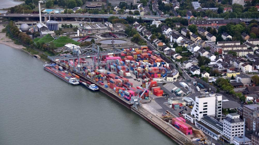 Bonn von oben - Containerterminal im Containerhafen des Binnenhafen des Rheins im Ortsteil Graurheindorf in Bonn im Bundesland Nordrhein-Westfalen, Deutschland