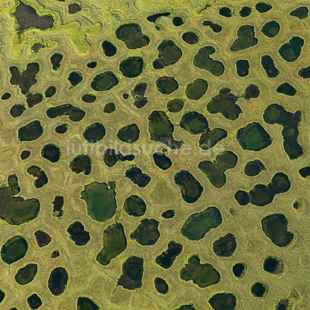 Luftbild Lenadelta - Deltalandschaft des Flusses Lena im Sommer in Sacha, Russland