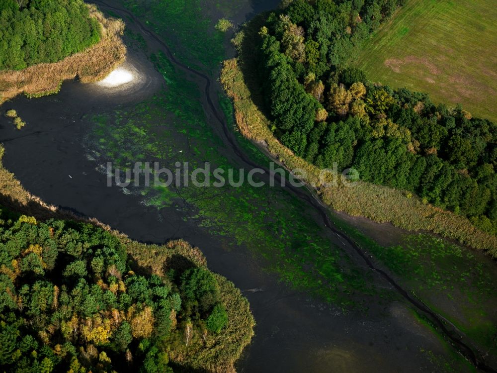 Luftbild Lieberose - Der Dammer Teich in Lieberose im Bundesland Brandenburg