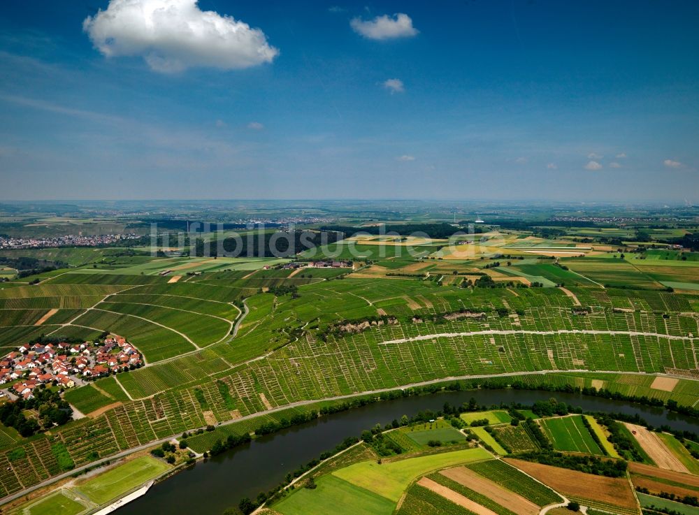 Luftbild Mundelsheim - Der Neckar und sein Verlauf bei Mundelsheim im Landkreis Ludwigsburg im Bundesland Baden-Württemberg