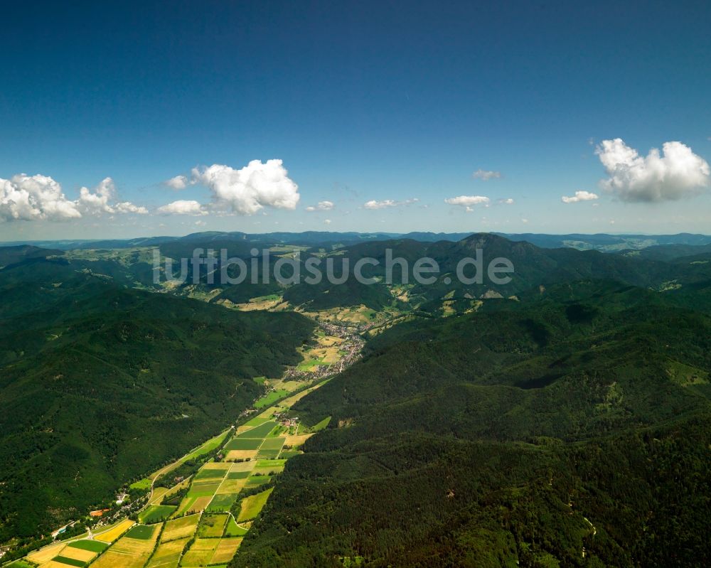Luftaufnahme Münstertal - Der Schwarzwald in der Gemeinde Münstertal im Bundesland Baden-Württemberg