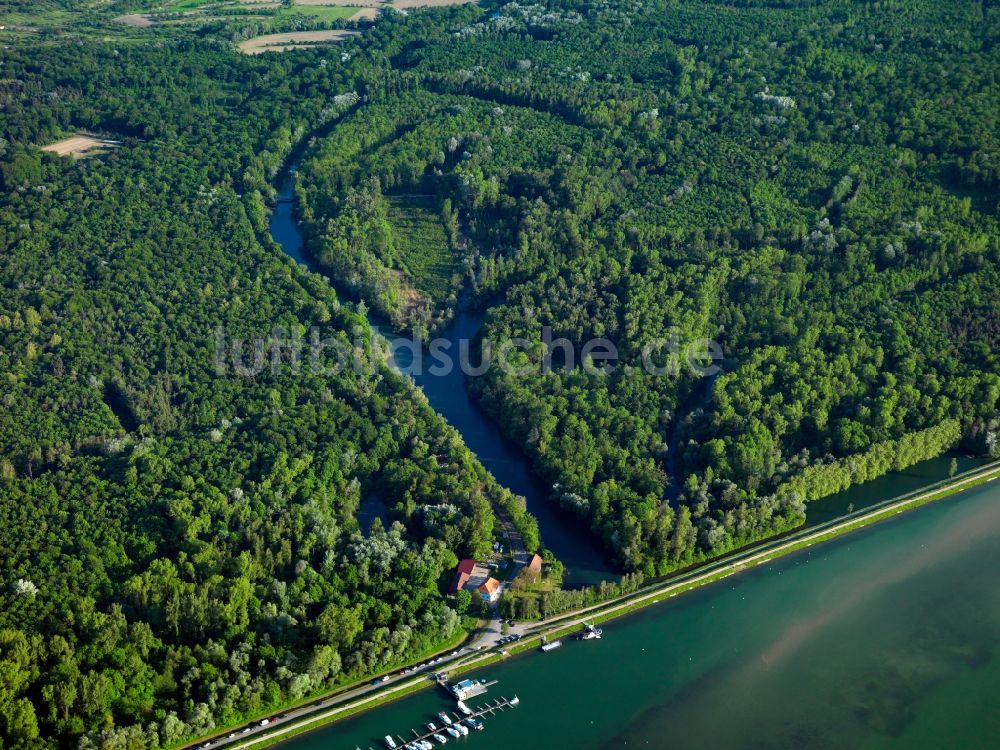 Luftbild Weisweil - Die Rheinauen und Rheinwälder in Weisweil im Bundesland Baden-Württemberg