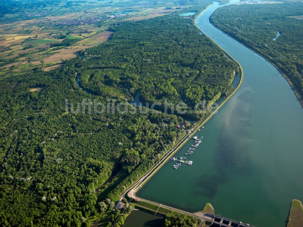 Luftaufnahme Weisweil - Die Rheinauen und Rheinwälder in Weisweil im Bundesland Baden-Württemberg