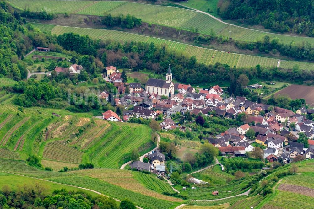 Luftaufnahme Amoltern - Dorf - Ansicht in Amoltern im Bundesland Baden-Württemberg, Deutschland
