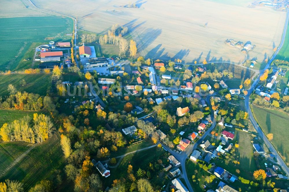 Luftbild Beggerow - Dorf - Ansicht in Beggerow im Bundesland Mecklenburg-Vorpommern, Deutschland