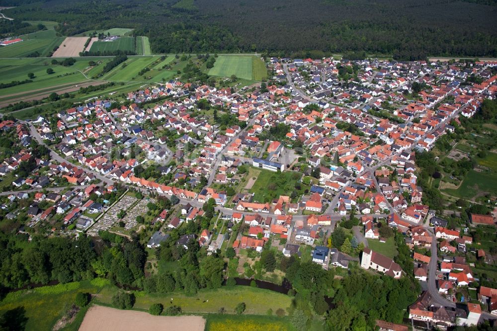 Berg (Pfalz) aus der Vogelperspektive: Dorf - Ansicht in Berg (Pfalz) im Bundesland Rheinland-Pfalz