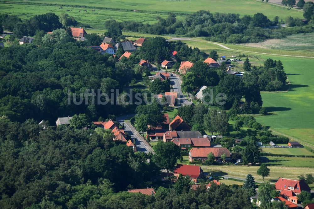 Dellien aus der Vogelperspektive: Dorf - Ansicht von Dellien im Bundesland Niedersachsen