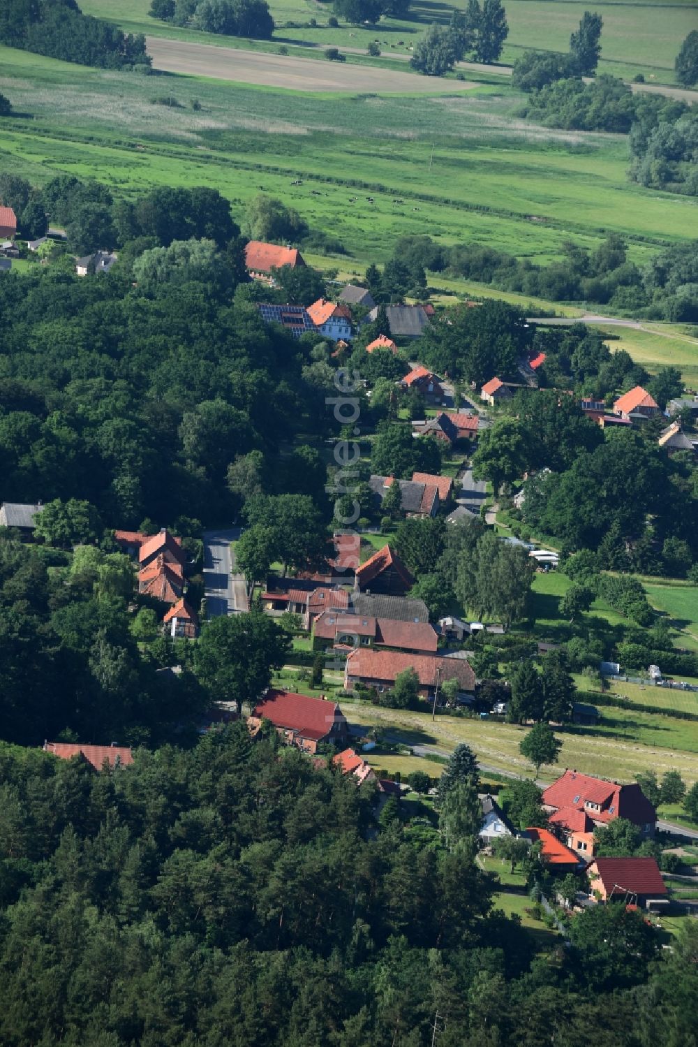 Dellien von oben - Dorf - Ansicht von Dellien im Bundesland Niedersachsen