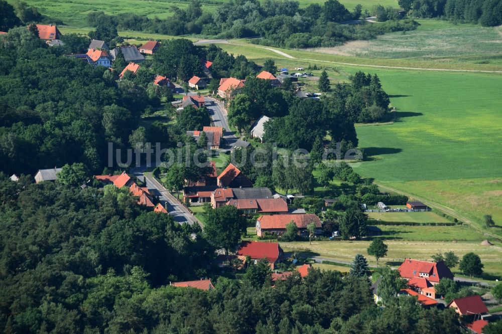 Luftbild Dellien - Dorf - Ansicht von Dellien im Bundesland Niedersachsen
