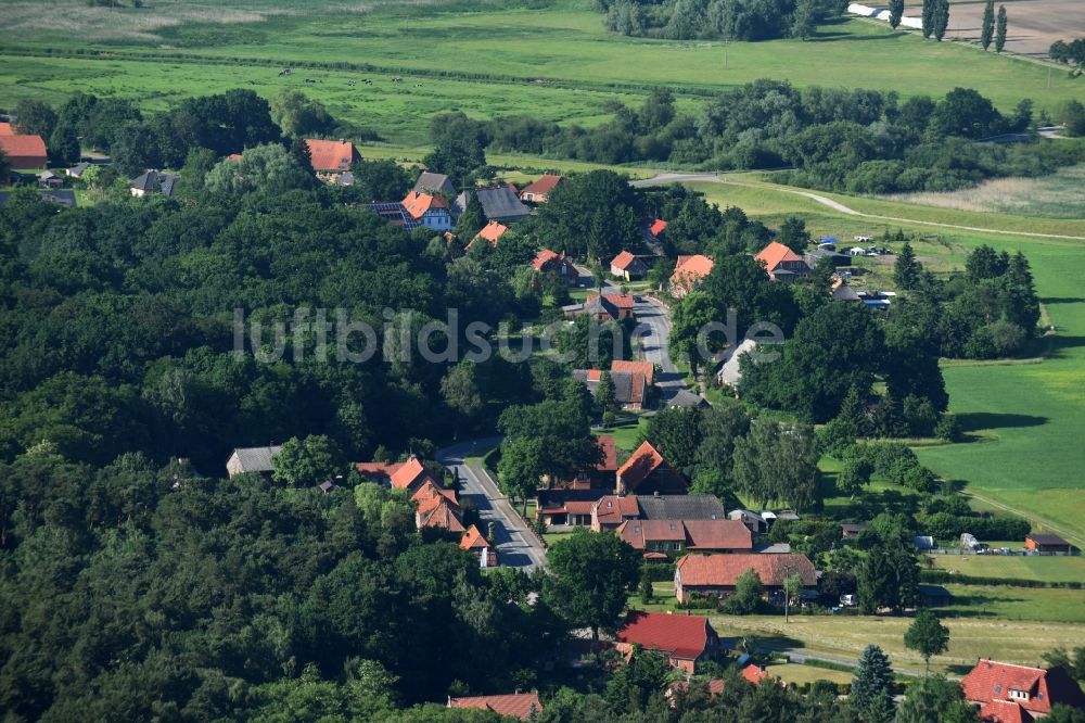 Luftaufnahme Dellien - Dorf - Ansicht von Dellien im Bundesland Niedersachsen