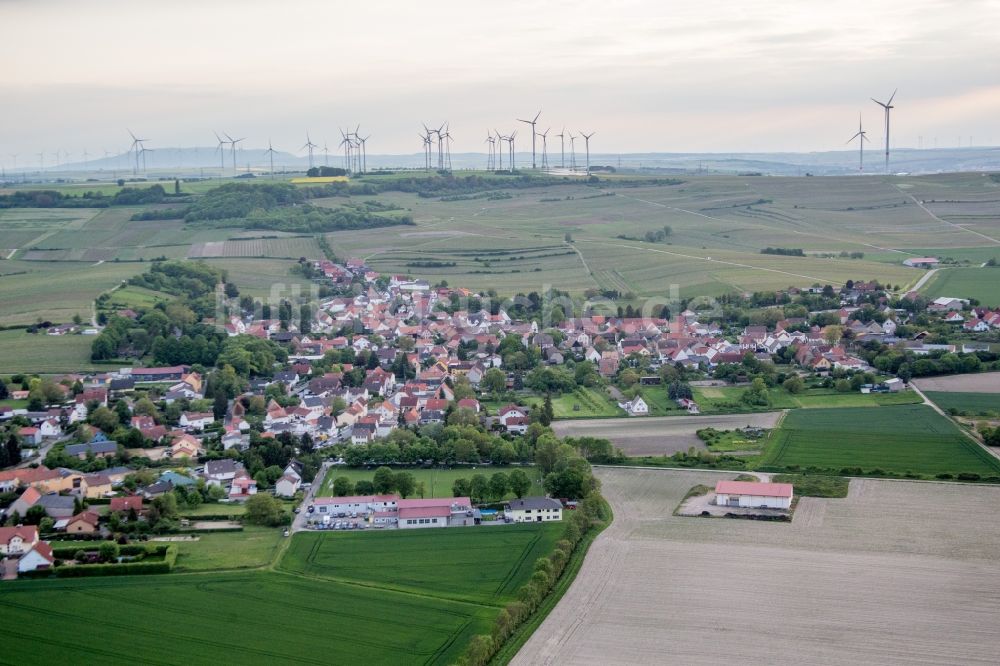 Dittelsheim-Heßloch von oben - Dorf - Ansicht in Dittelsheim-Heßloch im Bundesland Rheinland-Pfalz