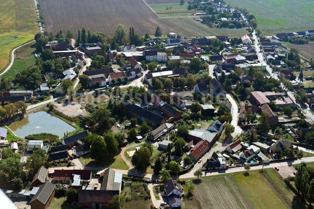 Dornbock von oben - Dorf - Ansicht in Dornbock im Bundesland Sachsen-Anhalt, Deutschland