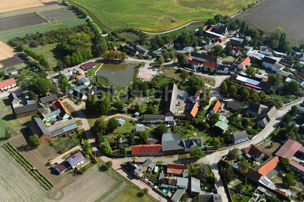 Dornbock aus der Vogelperspektive: Dorf - Ansicht in Dornbock im Bundesland Sachsen-Anhalt, Deutschland