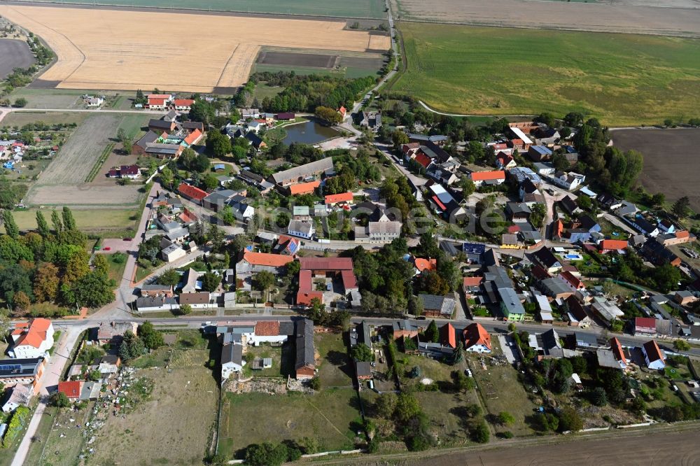 Luftbild Dornbock - Dorf - Ansicht in Dornbock im Bundesland Sachsen-Anhalt, Deutschland