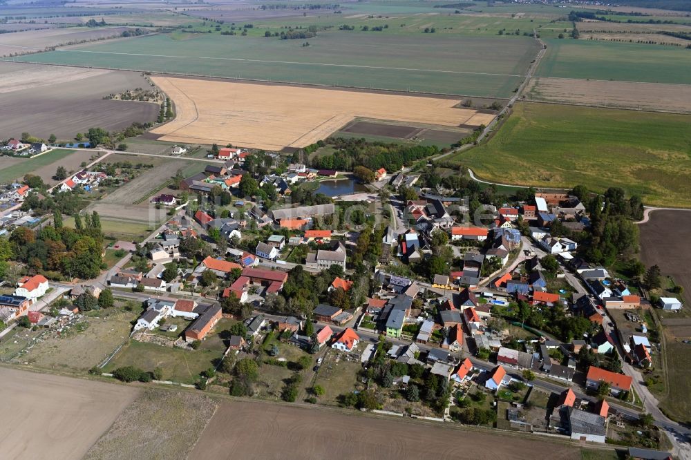 Luftaufnahme Dornbock - Dorf - Ansicht in Dornbock im Bundesland Sachsen-Anhalt, Deutschland