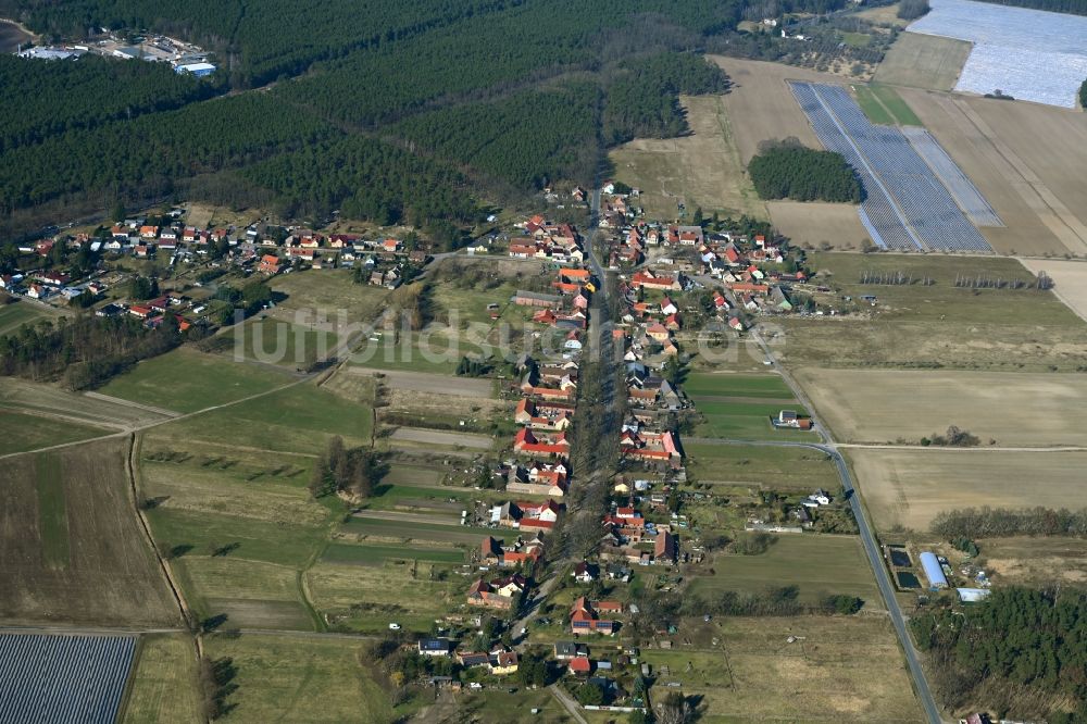 Elsholz von oben - Dorf - Ansicht in Elsholz im Bundesland Brandenburg, Deutschland