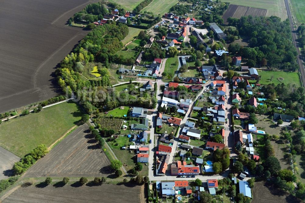 Frenz von oben - Dorf - Ansicht in Frenz im Bundesland Sachsen-Anhalt, Deutschland